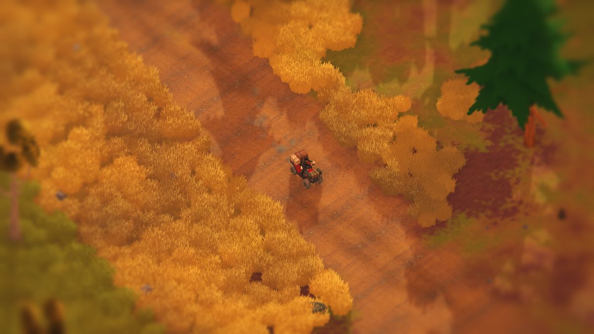 The quad bike rides a dirt road between golden autumn grass and dark pines, low evening sun striping the track with tree shadows.